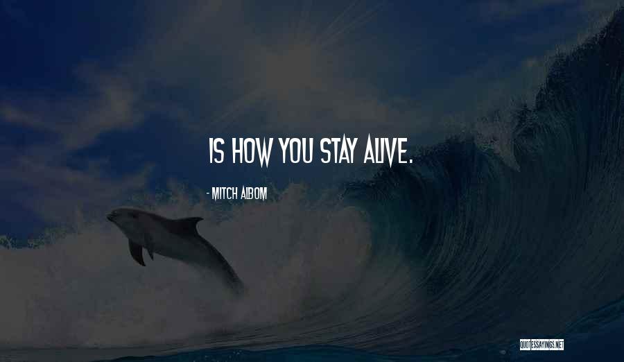Quendera Quotes By Mitch Albom