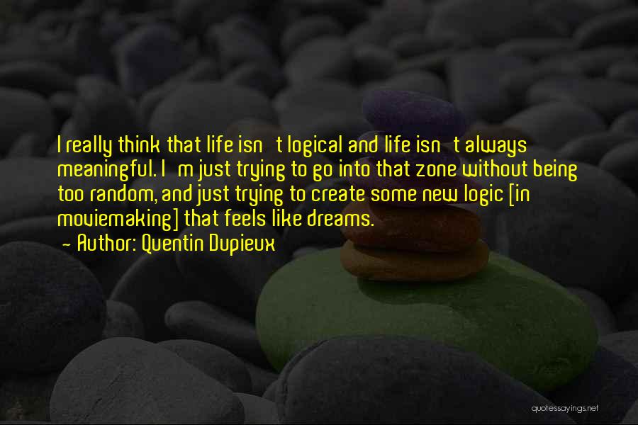 Quentin Dupieux Quotes 652123