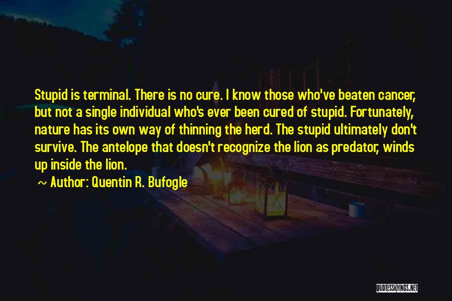 Quentin R. Bufogle Quotes 486379