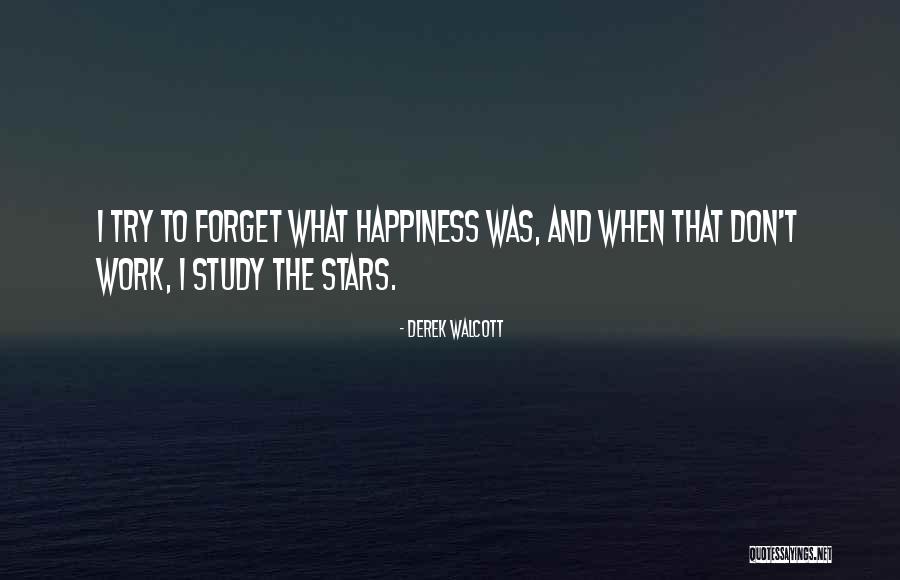 Queques Simples Quotes By Derek Walcott Queques Simples Quotes By Derek Walcott