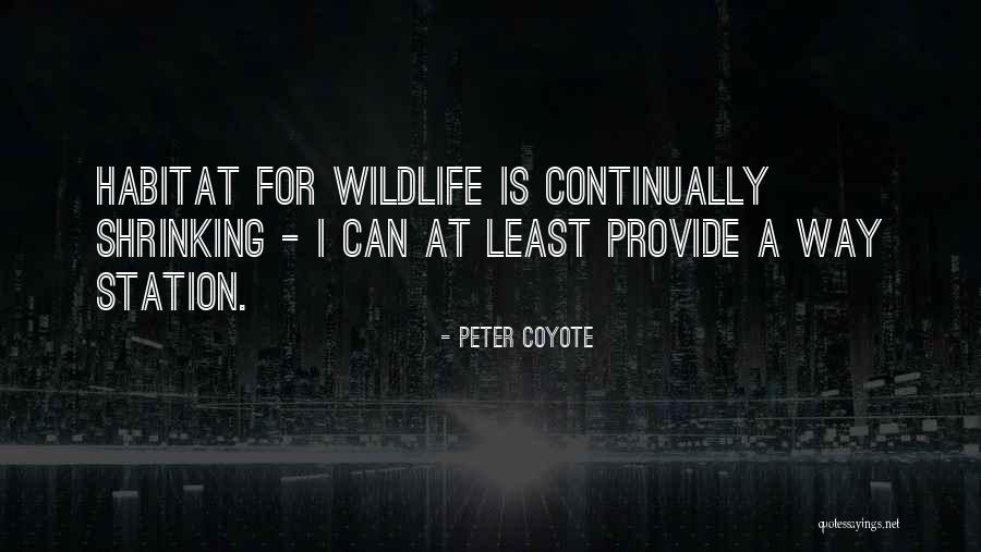 Queried Crossword Quotes By Peter Coyote Queried Crossword Quotes By Peter Coyote