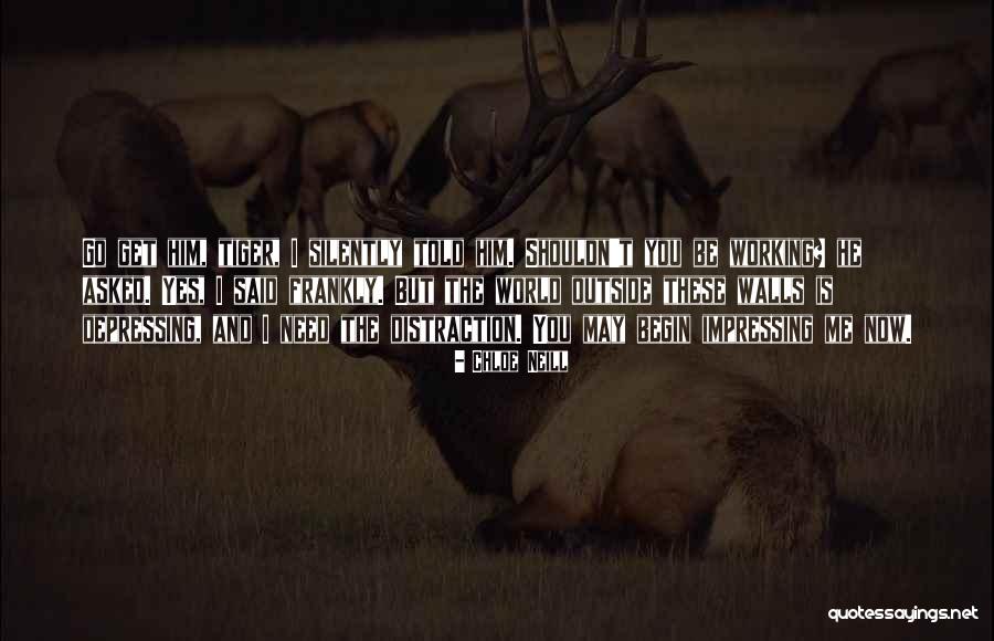 Quero Filmes Quotes By Chloe Neill Quero Filmes Quotes By Chloe Neill