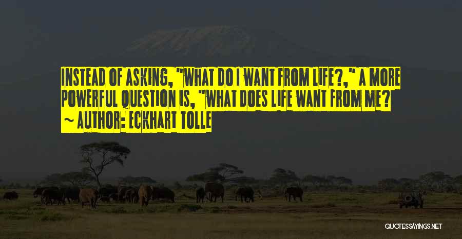 Question Asking Quotes By Eckhart Tolle