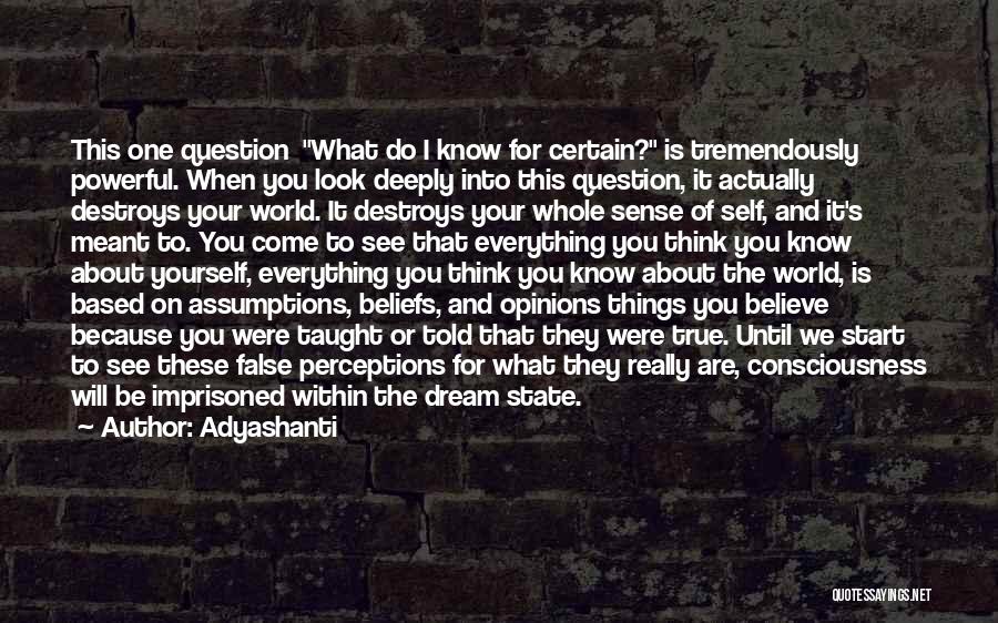 Question Assumptions Quotes By Adyashanti