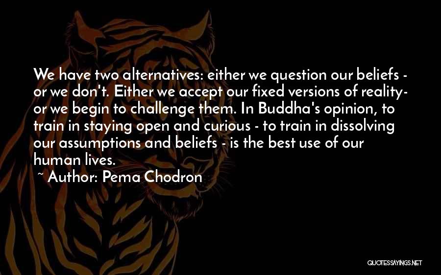 Question Assumptions Quotes By Pema Chodron
