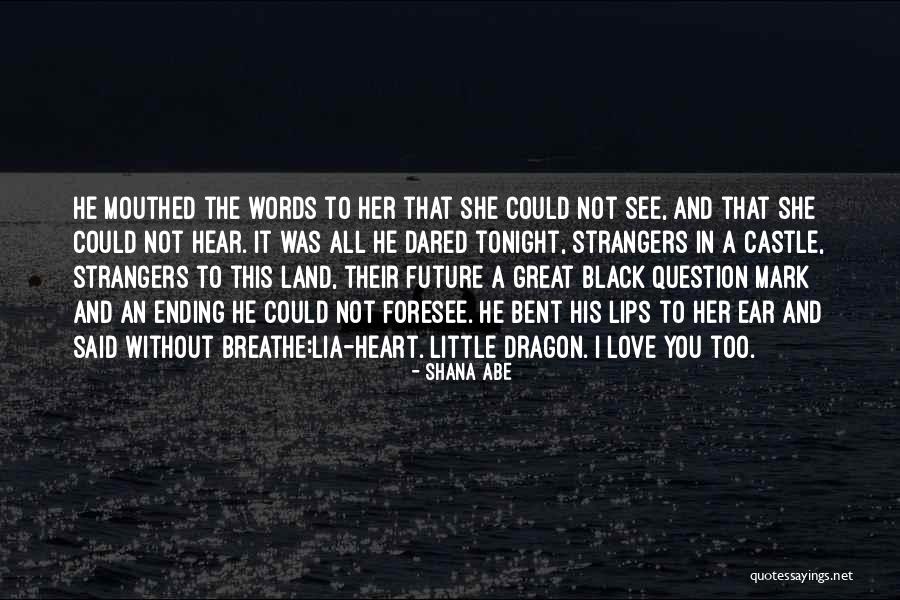 Question Mark Love Quotes By Shana Abe Question Mark Love Quotes By Shana Abe