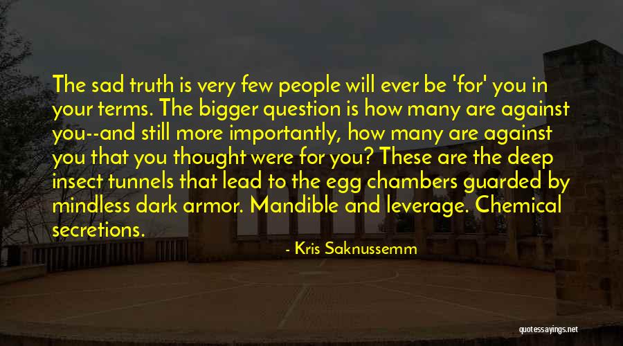 Question The Truth Quotes By Kris Saknussemm Question The Truth Quotes By Kris Saknussemm