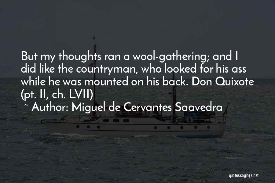 Questionable Democracy Quotes By Miguel De Cervantes Saavedra