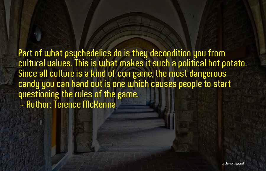 Questioning Government Quotes By Terence McKenna