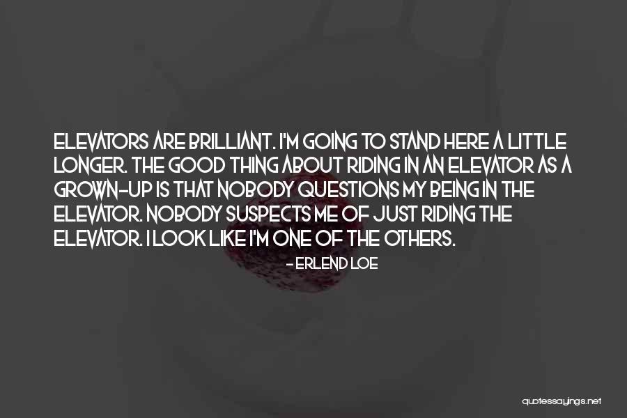 Questions About The Quotes By Erlend Loe Questions About The Quotes By Erlend Loe