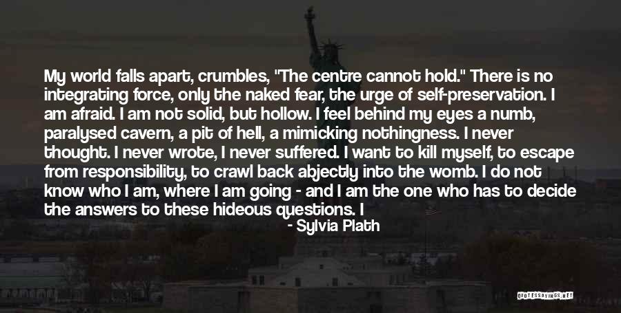 Questions Who Am I Quotes By Sylvia Plath Questions Who Am I Quotes By Sylvia Plath