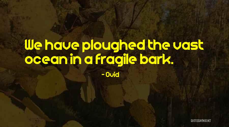 Quezada Construction Quotes By Ovid Quezada Construction Quotes By Ovid