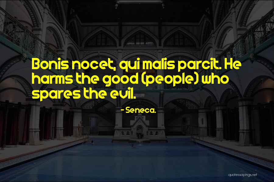 Qui Quotes By Seneca. Qui Quotes By Seneca.