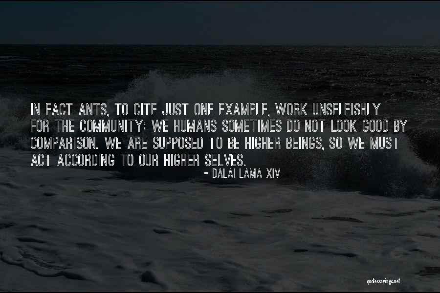 Quiata Quotes By Dalai Lama XIV Quiata Quotes By Dalai Lama XIV