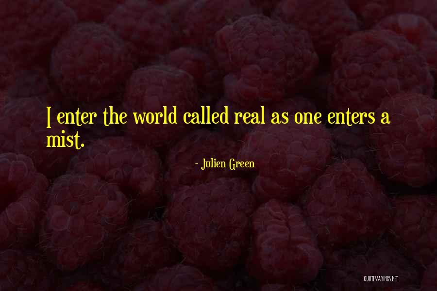 Quichotte Plot Quotes By Julien Green Quichotte Plot Quotes By Julien Green