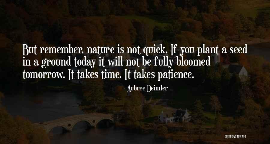 Quick But Quotes By Aubree Deimler Quick But Quotes By Aubree Deimler