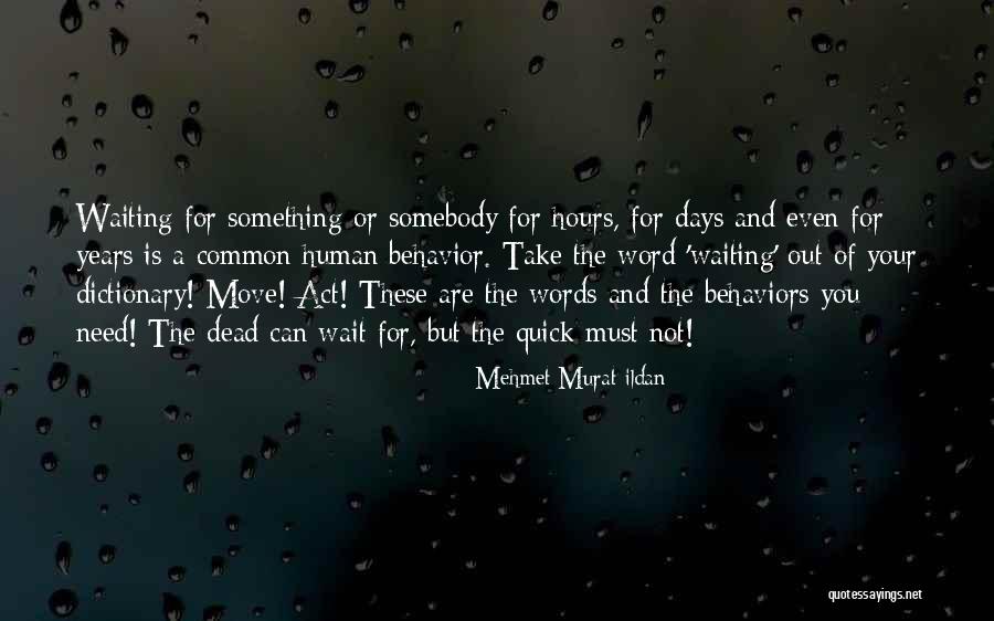 Quick But Quotes By Mehmet Murat Ildan Quick But Quotes By Mehmet Murat Ildan
