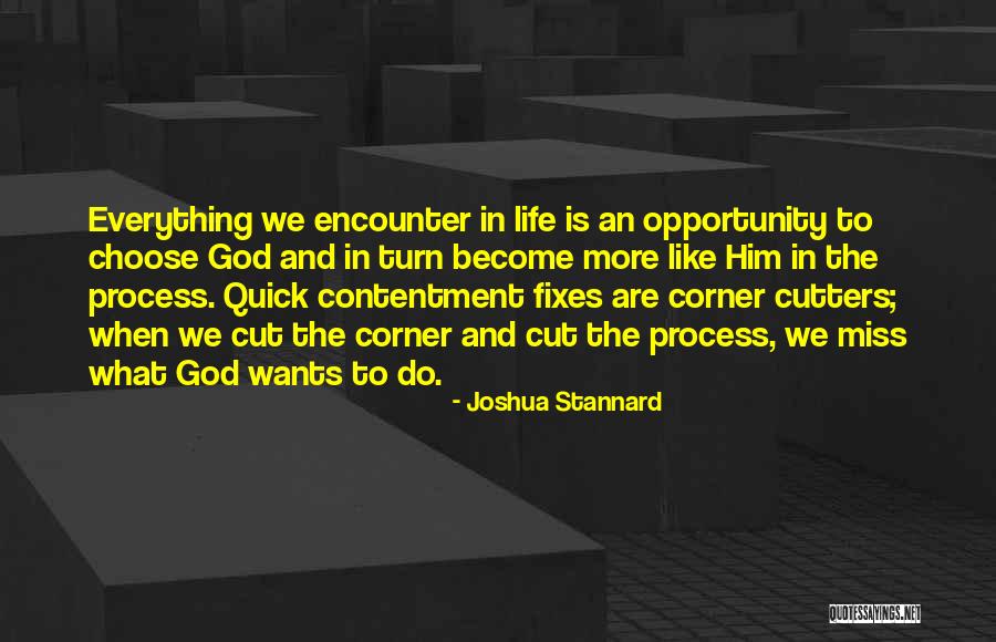 Quick Fixes Quotes By Joshua Stannard