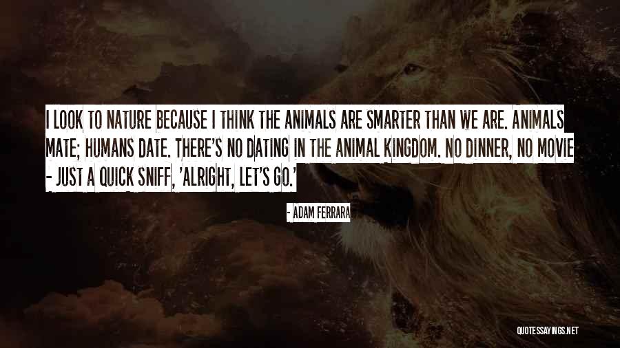 Quick To Look Quotes By Adam Ferrara Quick To Look Quotes By Adam Ferrara