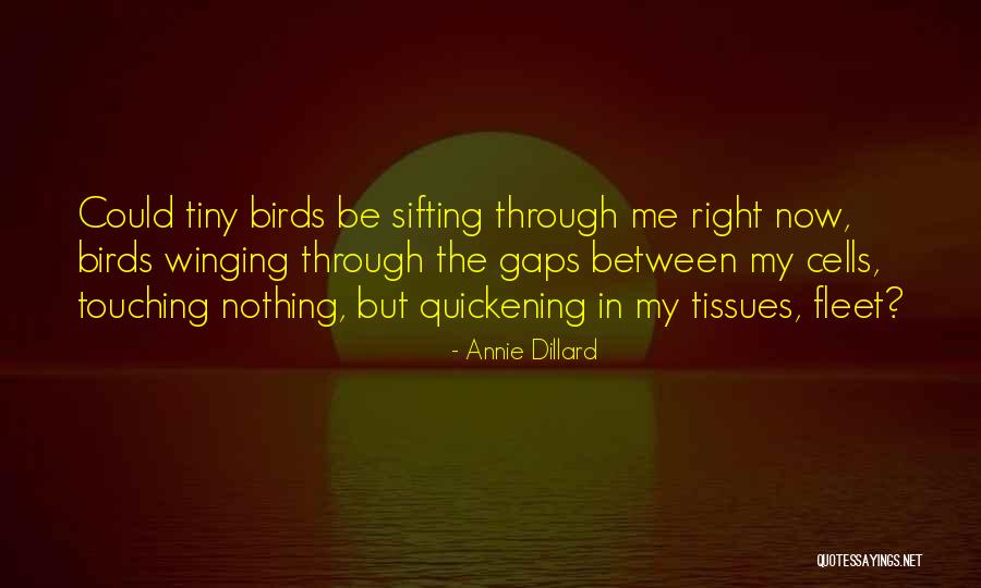 Quickening Quotes By Annie Dillard Quickening Quotes By Annie Dillard