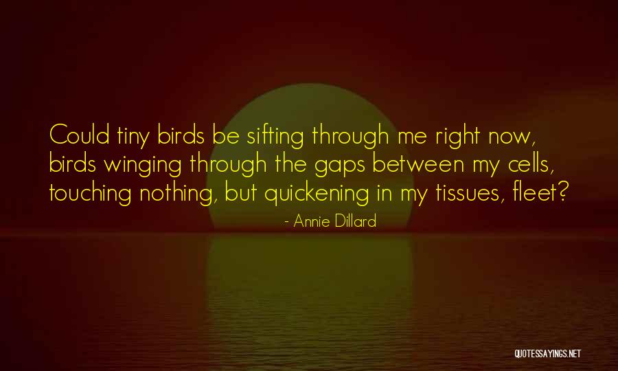 Quickening Quotes By Annie Dillard