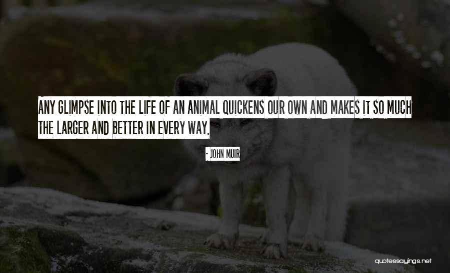 Quickens Quotes By John Muir Quickens Quotes By John Muir