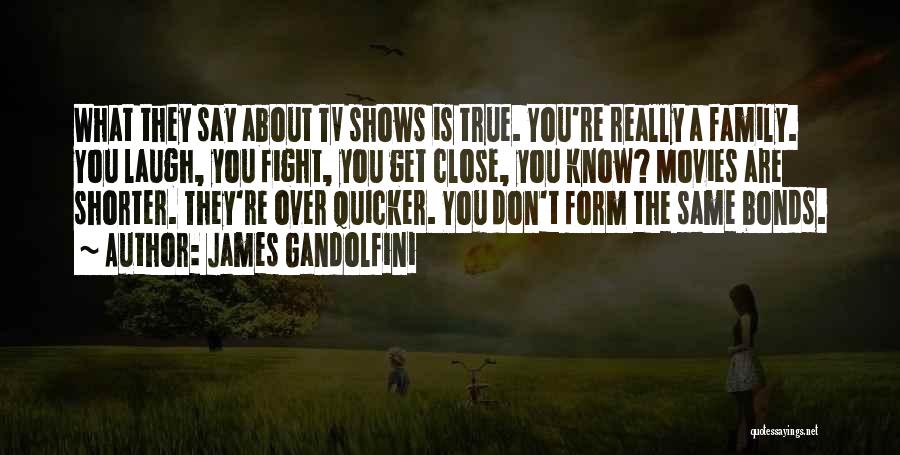 Quicker Than You Can Say Quotes By James Gandolfini