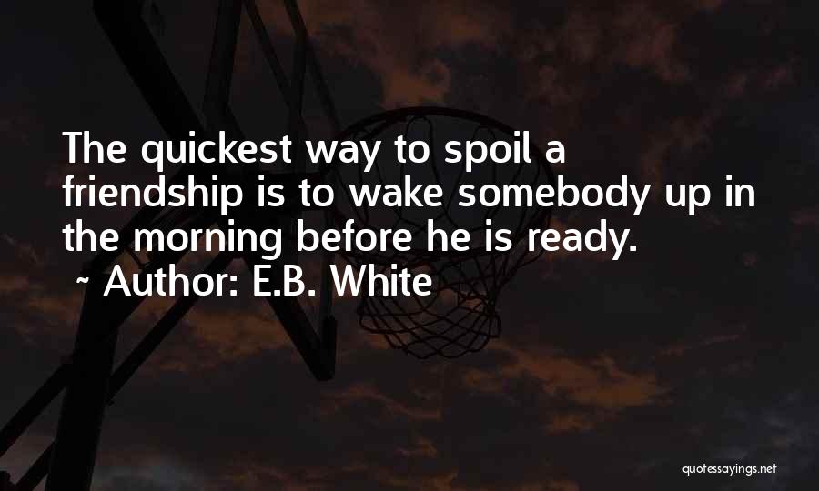 Quickest Quotes By E.B. White