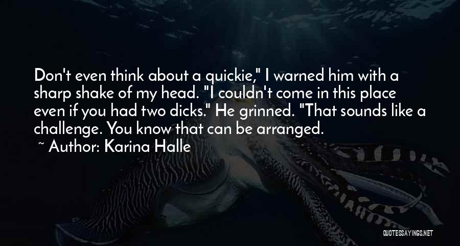 Quickie Quotes By Karina Halle