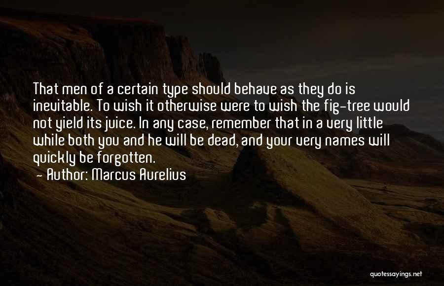 Quickly Forgotten Quotes By Marcus Aurelius