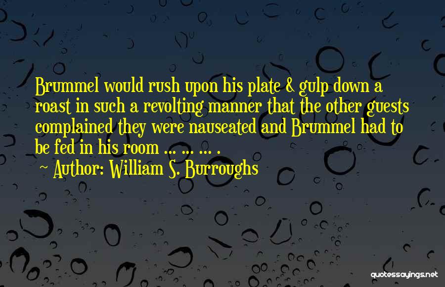 Quickpay Quotes By William S. Burroughs