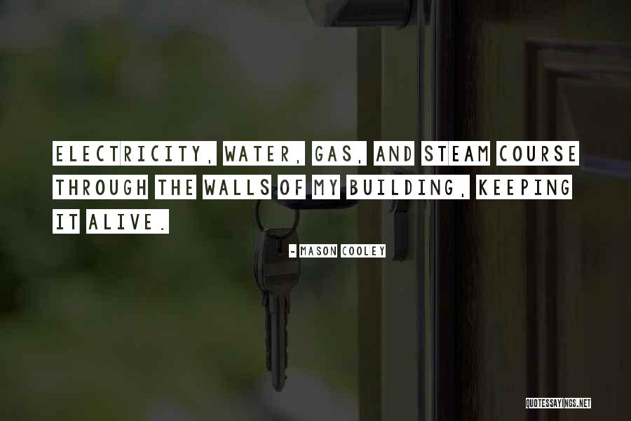 Quien Brilla Con Luz Propia Quotes By Mason Cooley Quien Brilla Con Luz Propia Quotes By Mason Cooley