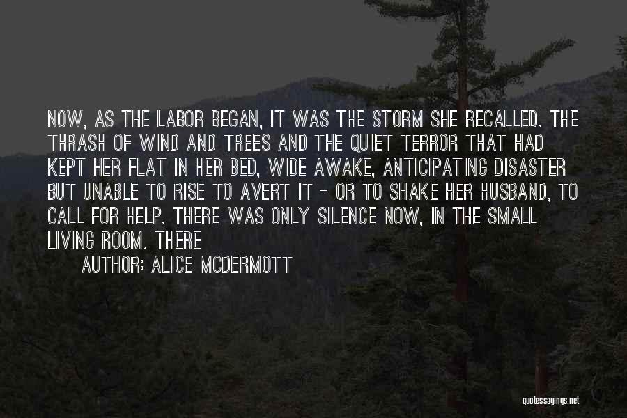 Quiet As Kept Quotes By Alice McDermott