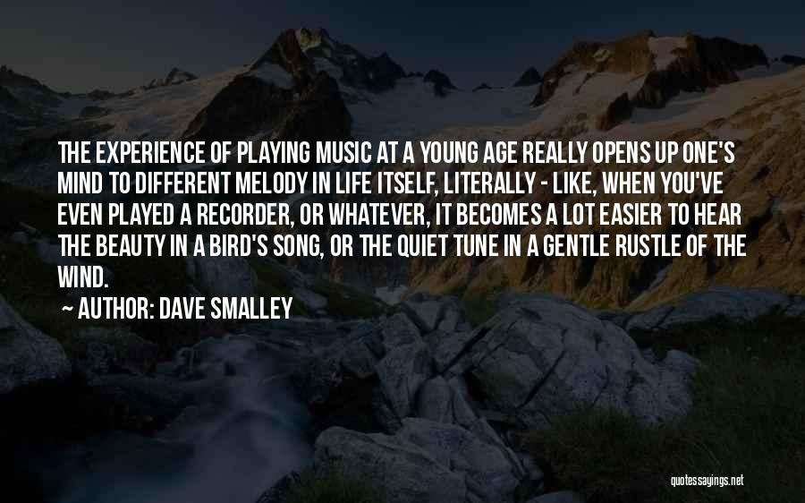 Quiet Beauty Quotes By Dave Smalley