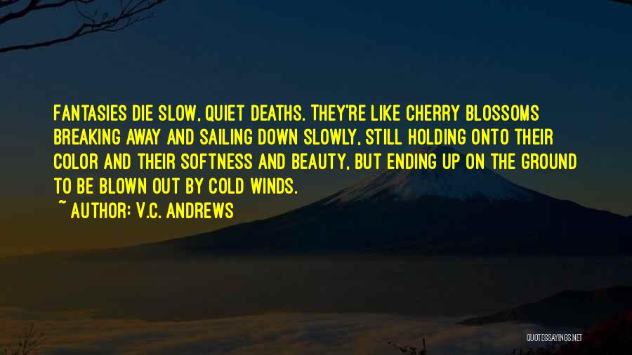 Quiet Beauty Quotes By V.C. Andrews