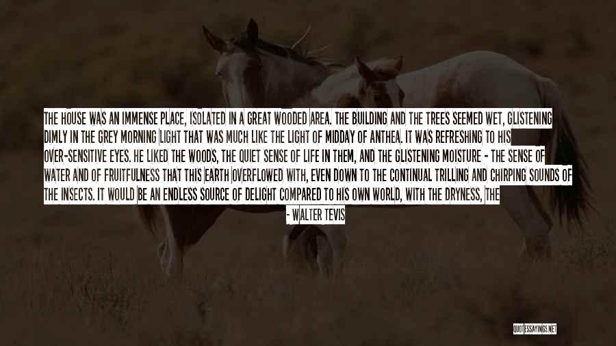 Quiet House Quotes By Walter Tevis Quiet House Quotes By Walter Tevis