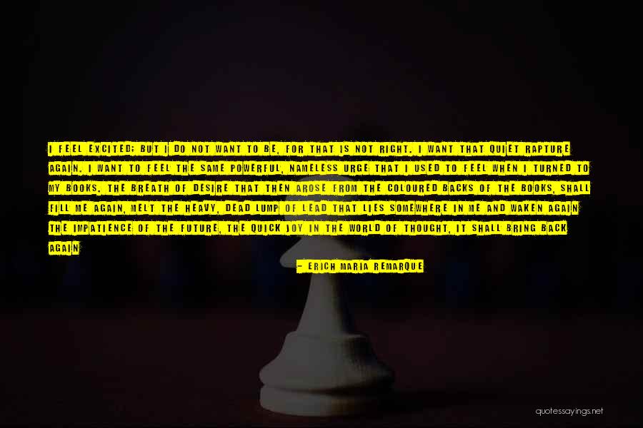 Quiet Lies Quotes By Erich Maria Remarque Quiet Lies Quotes By Erich Maria Remarque