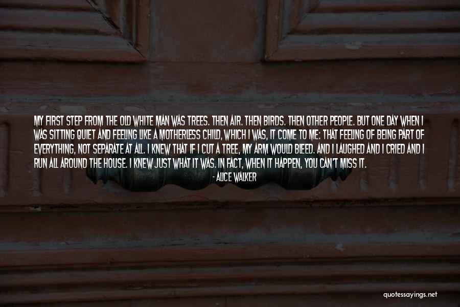 Quiet Man Quotes By Alice Walker Quiet Man Quotes By Alice Walker