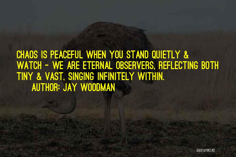 Quiet Observer Quotes By Jay Woodman