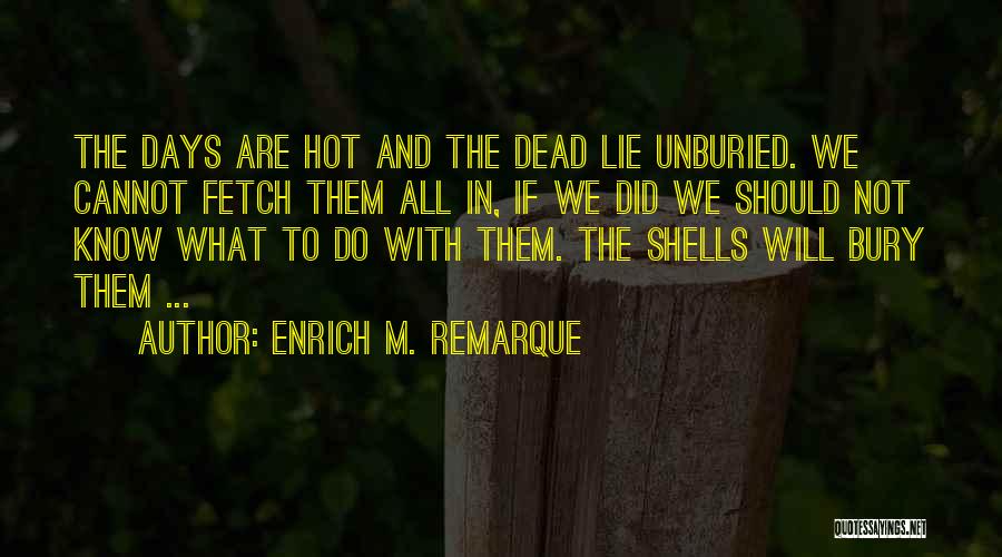 Quiet On The Western Front Quotes By Enrich M. Remarque