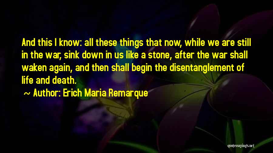 Quiet On The Western Front Quotes By Erich Maria Remarque