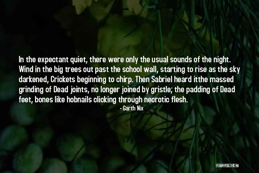 Quiet Quotes By Garth Nix