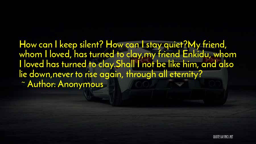 Quiet Silent Quotes By Anonymous