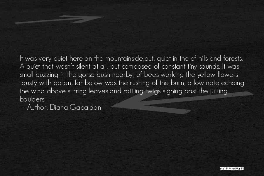 Quiet Silent Quotes By Diana Gabaldon