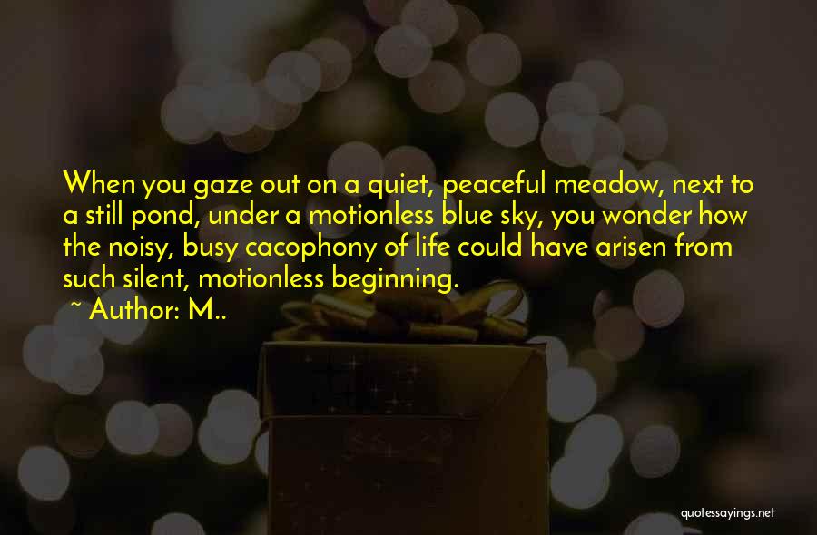 Quiet Silent Quotes By M..