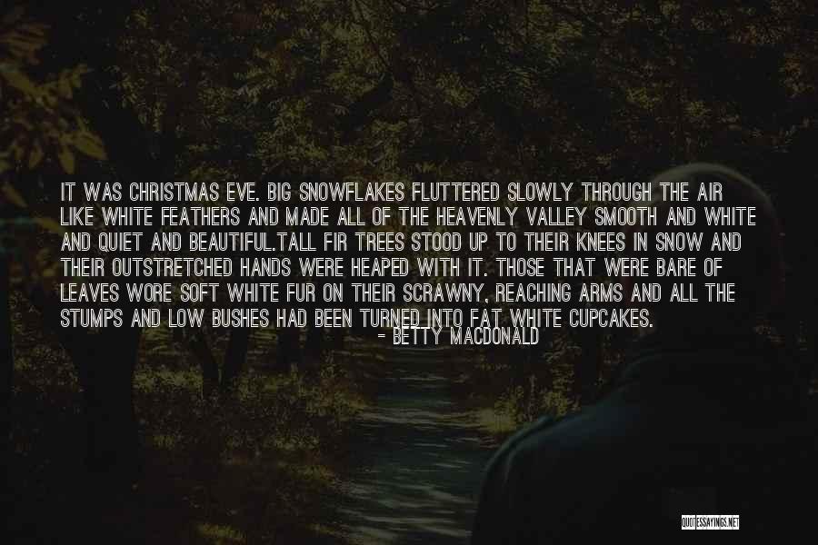 Quiet Trees Quotes By Betty MacDonald Quiet Trees Quotes By Betty MacDonald