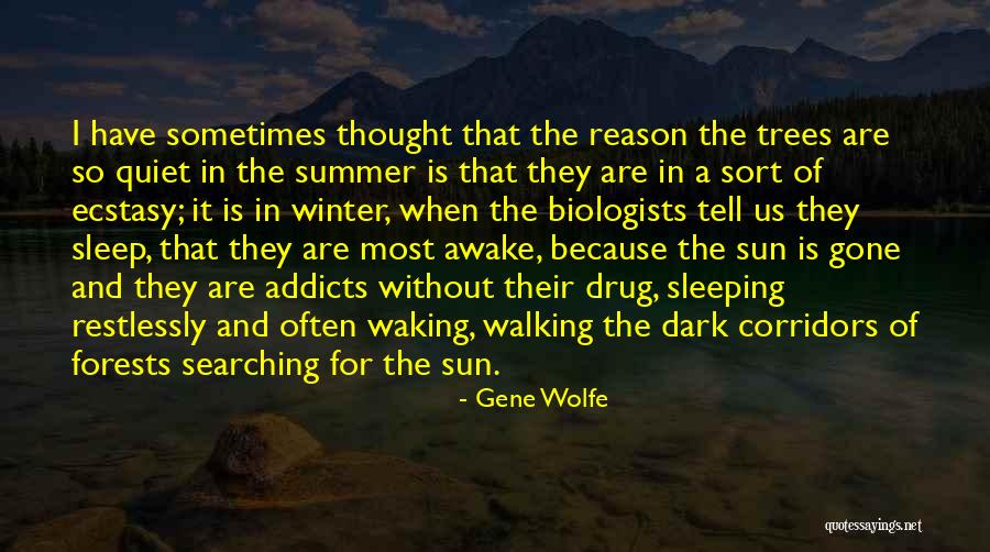 Quiet Trees Quotes By Gene Wolfe Quiet Trees Quotes By Gene Wolfe