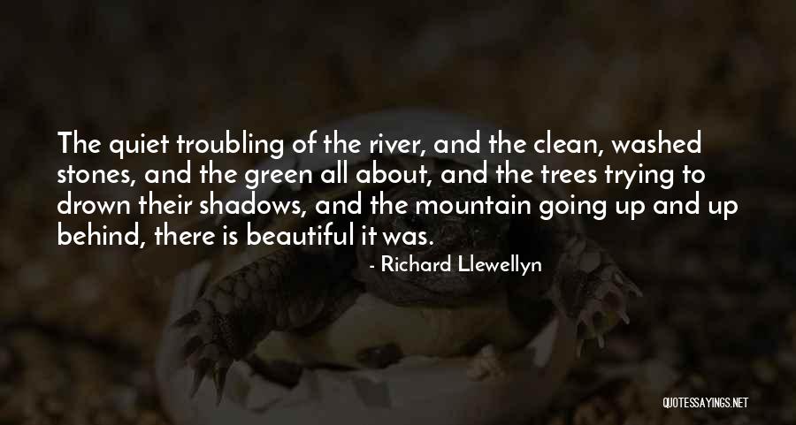 Quiet Trees Quotes By Richard Llewellyn Quiet Trees Quotes By Richard Llewellyn
