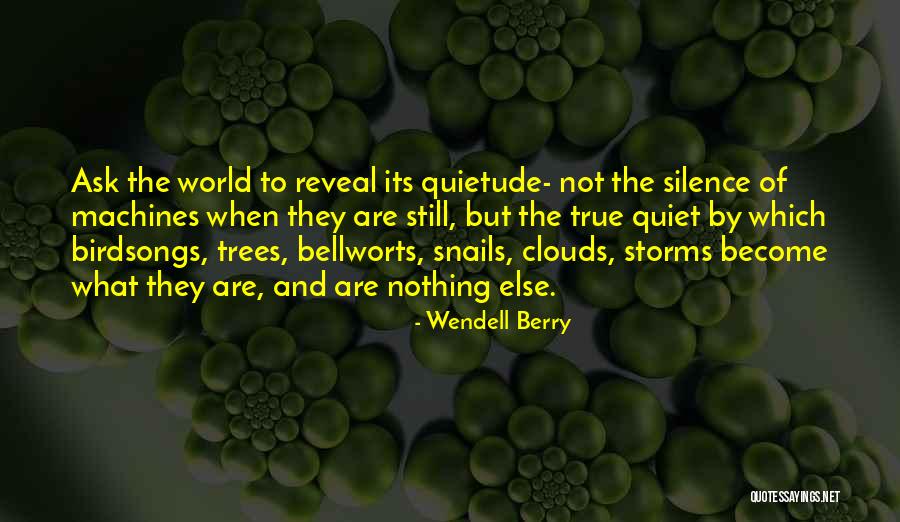 Quiet Trees Quotes By Wendell Berry Quiet Trees Quotes By Wendell Berry