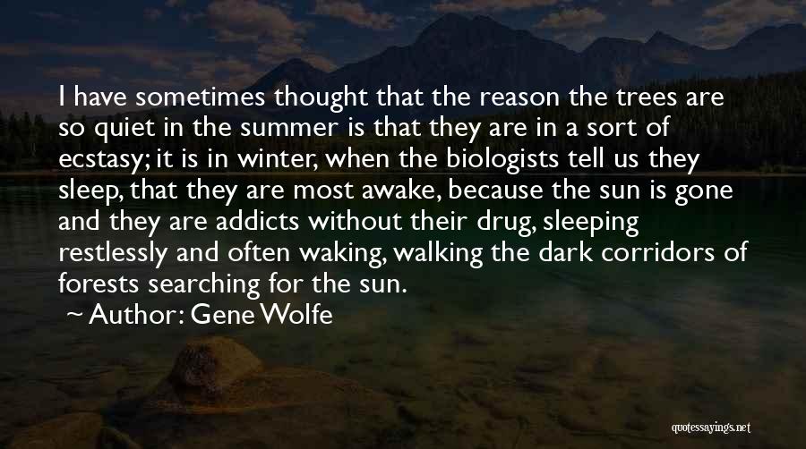 Quiet Winter Quotes By Gene Wolfe